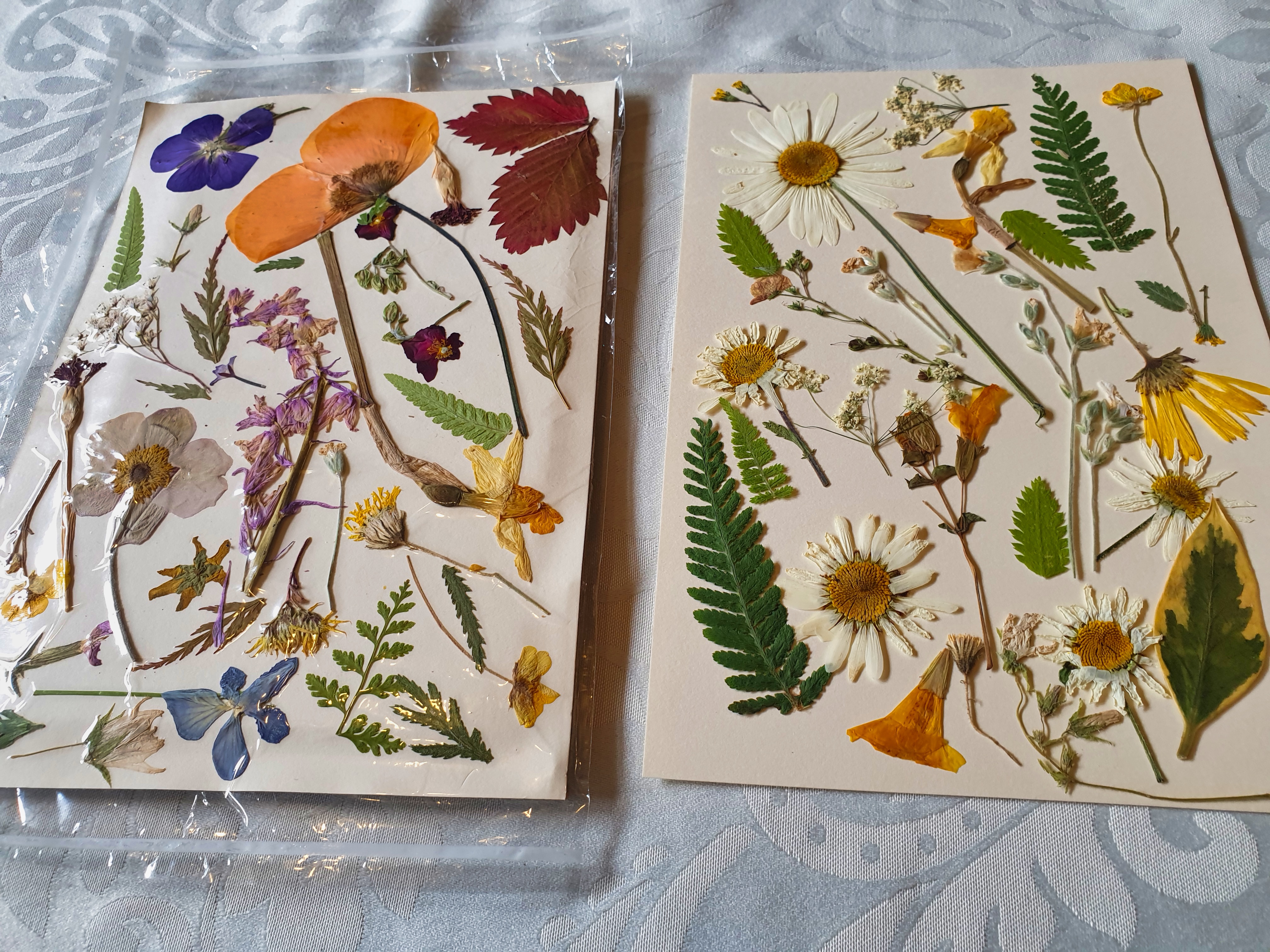 Photo of two packs of pressed flowers. The left has been vacuumed and sealed, the right is before vacuuming and sealing.